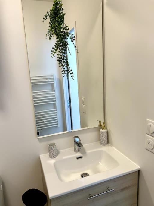 Le Romy Apartment Toulouse Bagian luar foto